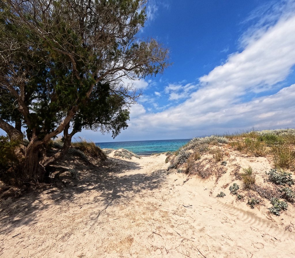 Mastichari ein sandiger Weg durch die Düne zum Strand.