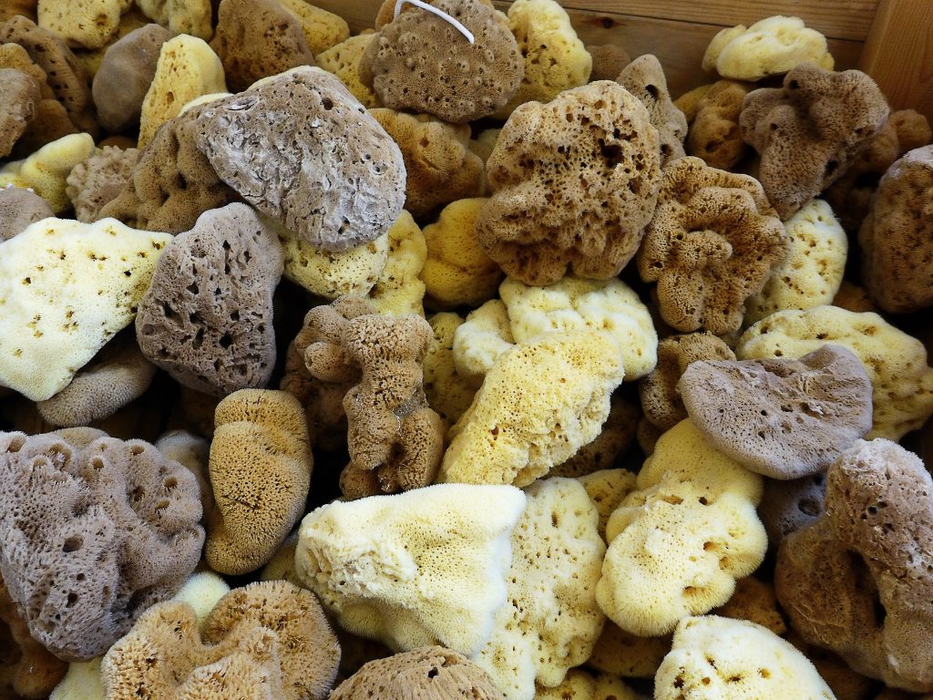 Verschiedenfarbige Naturschwämme in einer Holzkiste.